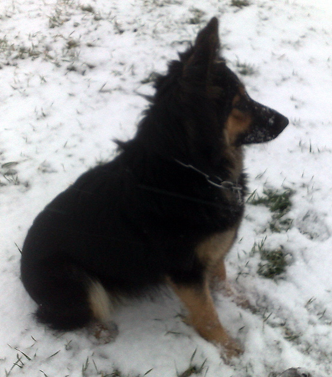 25122008589.jpg
