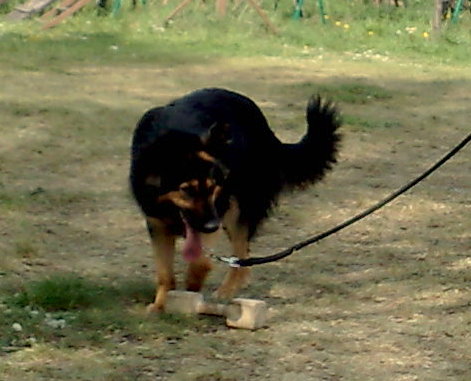 29042009858.jpg
