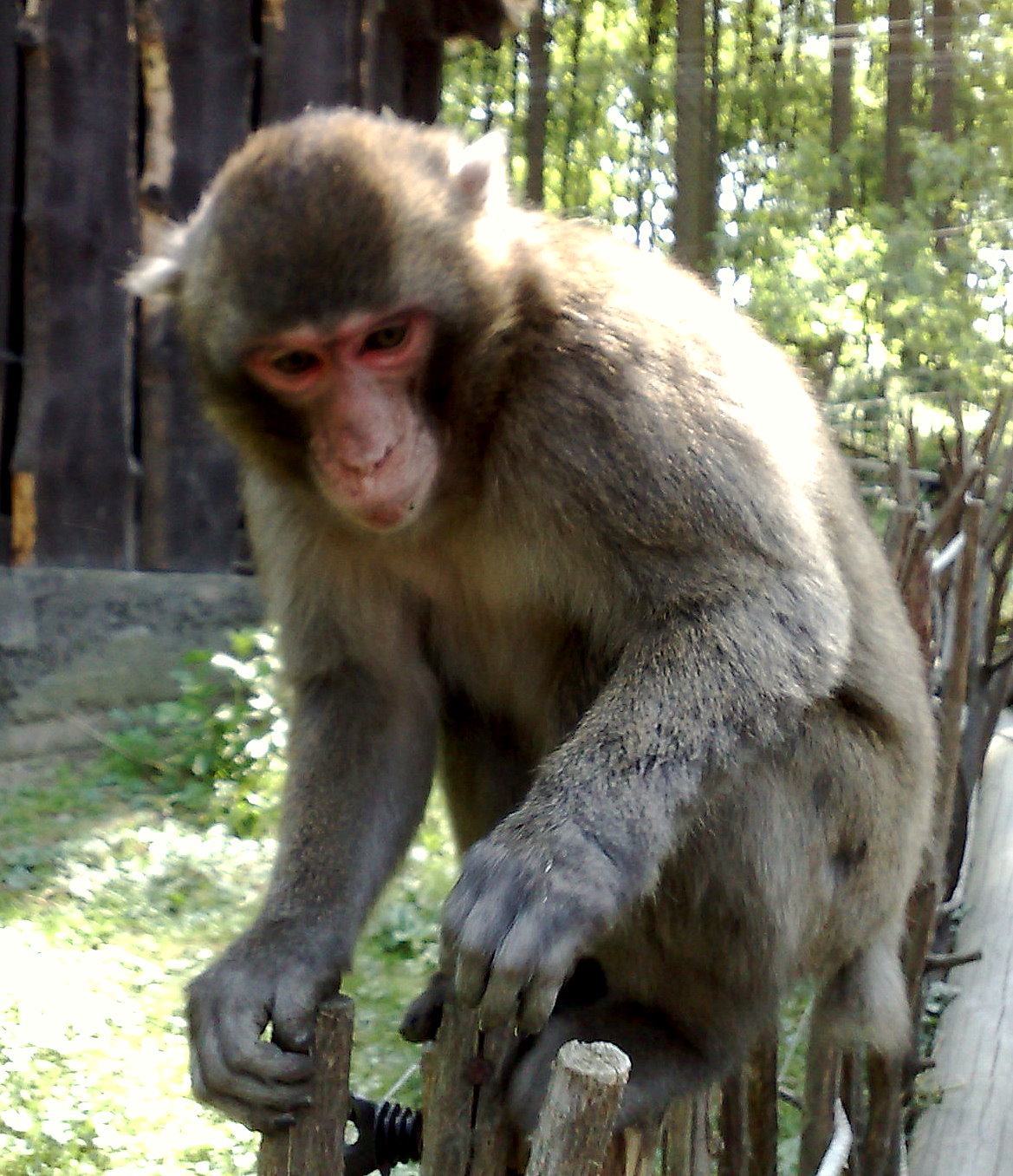 02052009963.jpg