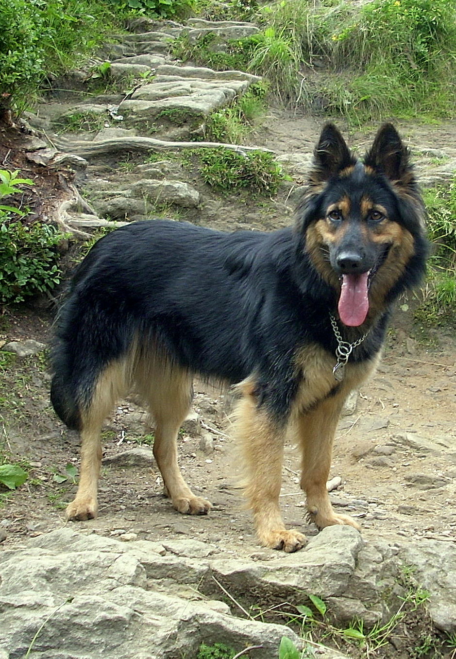 DSCN0125.JPG