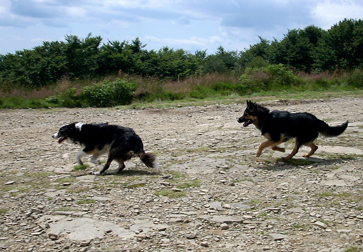 DSCN0166.JPG