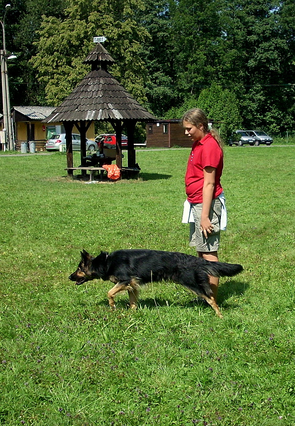Volono, Ajšo!
