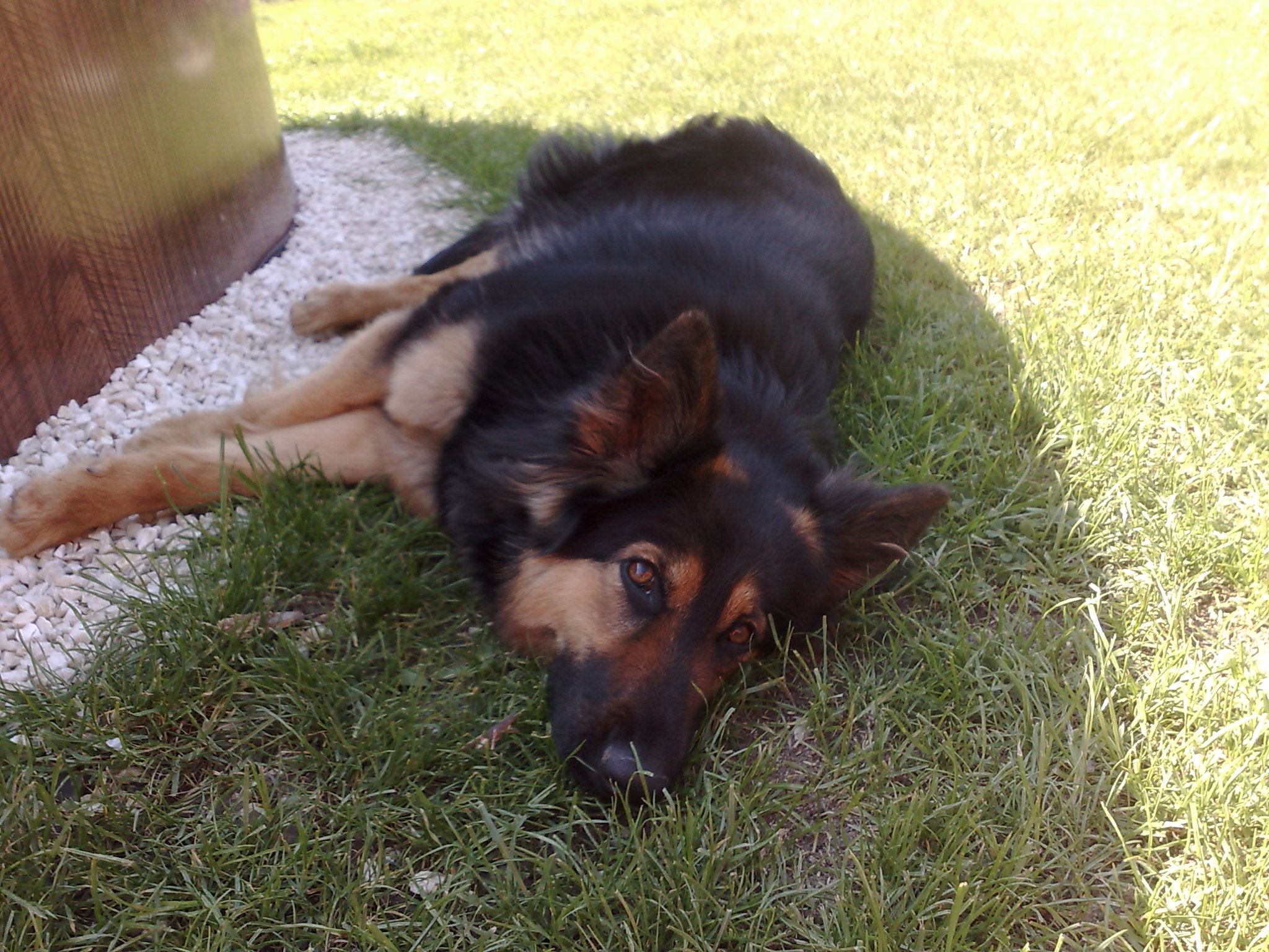 26042009844.jpg